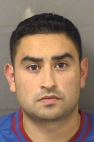  NICOLAS A GUEVARA Results from Palm Beach County Florida for  NICOLAS A GUEVARA