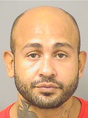  JUAN A RAMIREZPAGAN Results from Palm Beach County Florida for  JUAN A RAMIREZPAGAN