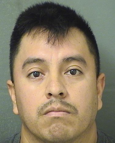  MELZER ISIDRO IZARAGARCIA Resultados de la busqueda para Palm Beach County Florida para  MELZER ISIDRO IZARAGARCIA