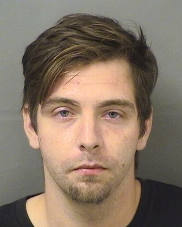  MICHAEL JOHN II ZIELINSKI Results from Palm Beach County Florida for  MICHAEL JOHN II ZIELINSKI