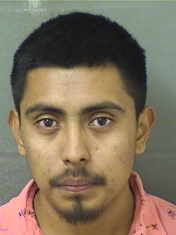  JEOVANY AUDELI SALESPEREZ Results from Palm Beach County Florida for  JEOVANY AUDELI SALESPEREZ