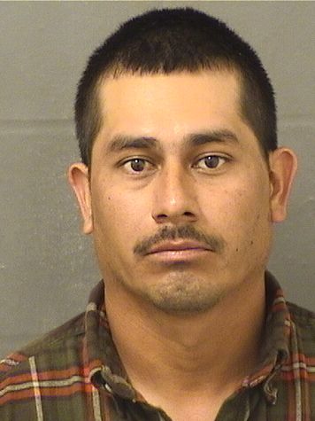 MELVIN GARCIA Photos For  MELVIN GARCIA  MELVIN GARCIA Photo For  MELVIN GARCIA