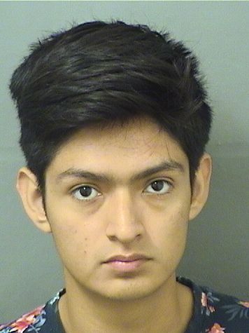  CARLOS ALBERTO DIAZDIAZ Resultados de la busqueda para Palm Beach County Florida para  CARLOS ALBERTO DIAZDIAZ