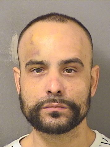  CHRISTOPHER LEE MARTINEZ Results from Palm Beach County Florida for  CHRISTOPHER LEE MARTINEZ