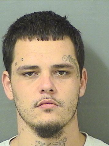  JESSE LEBRECHT Results from Palm Beach County Florida for  JESSE LEBRECHT