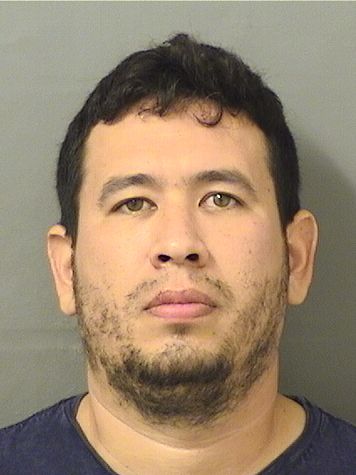  HENRY A ABREU Resultados de la busqueda para Palm Beach County Florida para  HENRY A ABREU