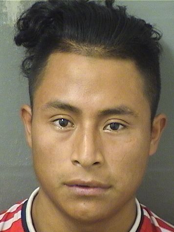  HECTOR JUAN MIGUEL Results from Palm Beach County Florida for  HECTOR JUAN MIGUEL