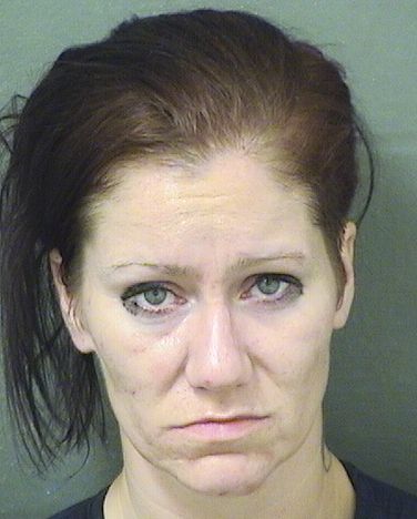  NATASHA A SANDS Results from Palm Beach County Florida for  NATASHA A SANDS