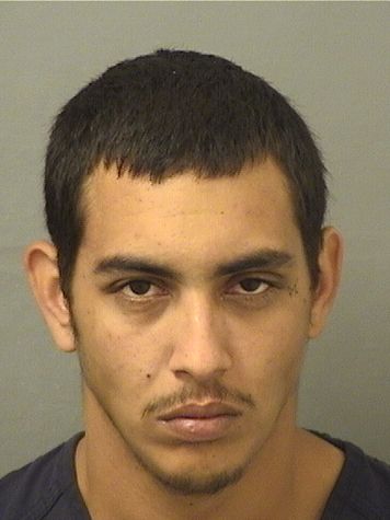  TRAVIS AJODHIA HANNA Results from Palm Beach County Florida for  TRAVIS AJODHIA HANNA
