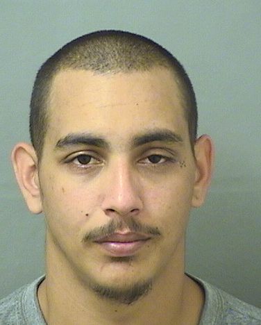  TRAVIS AJODHIA HANNA Results from Palm Beach County Florida for  TRAVIS AJODHIA HANNA