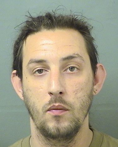  AARON MICHAEL MOWRY Results from Palm Beach County Florida for  AARON MICHAEL MOWRY
