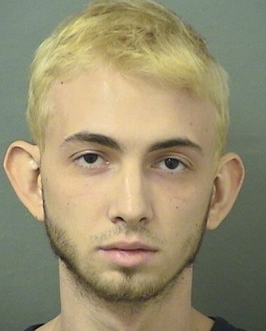  BRANDON JOHN CUMMINGS Resultados de la busqueda para Palm Beach County Florida para  BRANDON JOHN CUMMINGS