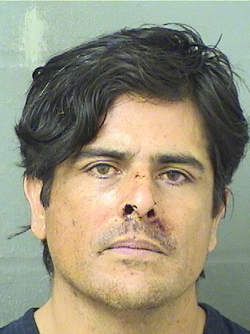 ALEJANDRO MORALAVERDE Results from Palm Beach County Florida for ALEJANDRO MORALAVERDE ALEJANDRO MORALAVERDE Results from Palm Beach County Florida for ALEJANDRO MORALAVERDE