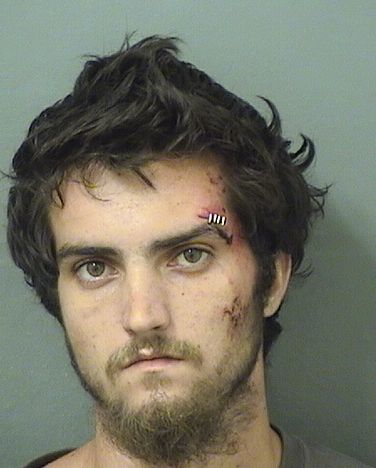ZACHARY MICHAEL FERNANDES Results from Palm Beach County Florida for ZACHARY MICHAEL FERNANDES ZACHARY MICHAEL FERNANDES Results from Palm Beach County Florida for ZACHARY MICHAEL FERNANDES