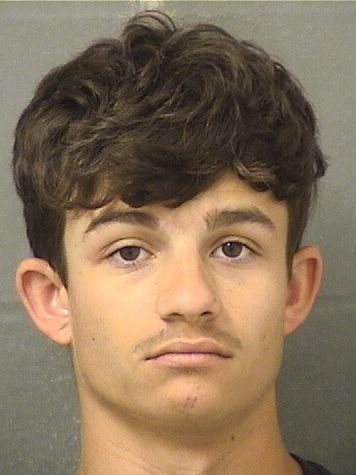  HENRY RYAN RODRIGUEZ Results from Palm Beach County Florida for  HENRY RYAN RODRIGUEZ