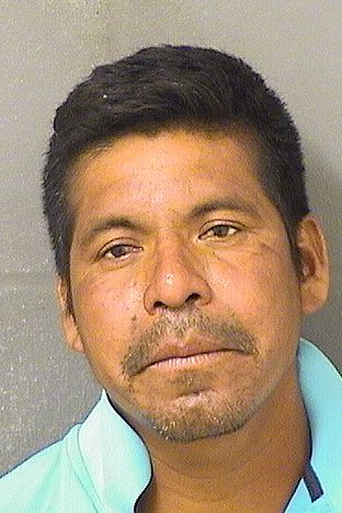  MODESTO PEREZ MENDEZ Results from Palm Beach County Florida for  MODESTO PEREZ MENDEZ