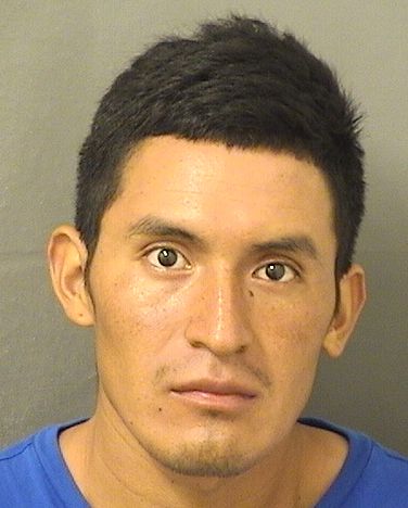  ALFREDO LOPEZCHAJ Results from Palm Beach County Florida for  ALFREDO LOPEZCHAJ