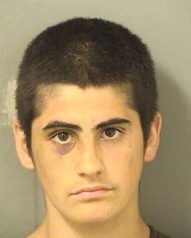  SEBASTIAN H OLIVA Resultados de la busqueda para Palm Beach County Florida para  SEBASTIAN H OLIVA