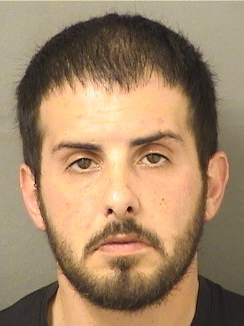  WALTER M BAUER Results from Palm Beach County Florida for  WALTER M BAUER