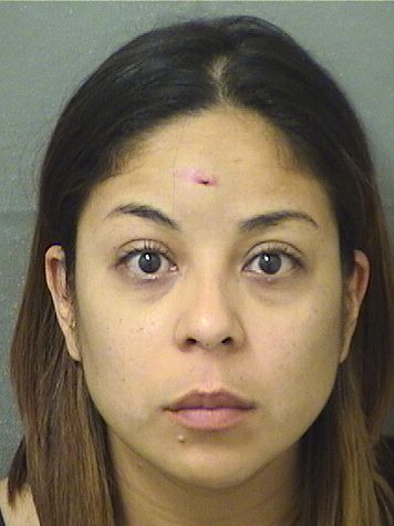  LUCINA LOZANO CAMPOS Results from Palm Beach County Florida for  LUCINA LOZANO CAMPOS