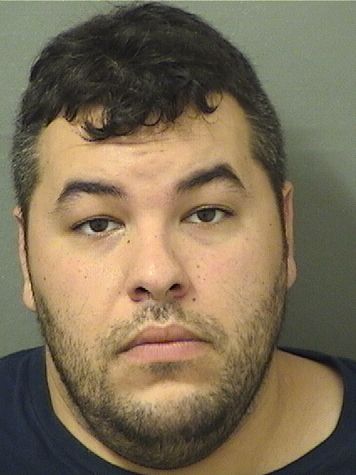  MICHAEL ANTHONY PEREZ Results from Palm Beach County Florida for  MICHAEL ANTHONY PEREZ