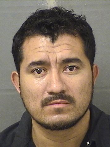  ELIAS MAZARIEGOSPEREZ Resultados de la busqueda para Palm Beach County Florida para  ELIAS MAZARIEGOSPEREZ