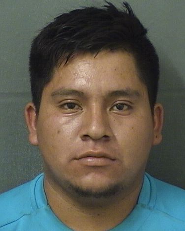  FRANGLI AUDELI DOMINGOSANCHEZ Results from Palm Beach County Florida for  FRANGLI AUDELI DOMINGOSANCHEZ