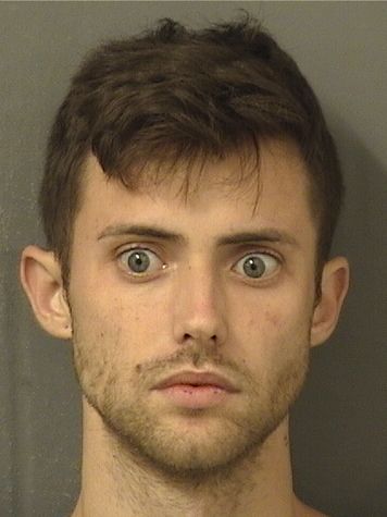  ADAM SHAMS KRIEG Results from Palm Beach County Florida for  ADAM SHAMS KRIEG