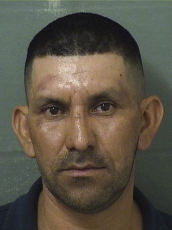  JOSE ISMAEL VASQUEZ Results from Palm Beach County Florida for  JOSE ISMAEL VASQUEZ