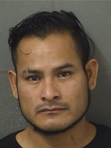 RAUDILIO MANUEL VELAZQUEZSANCHEZ Results from Palm Beach County Florida for RAUDILIO MANUEL VELAZQUEZSANCHEZ RAUDILIO MANUEL VELAZQUEZSANCHEZ Results from Palm Beach County Florida for RAUDILIO MANUEL VELAZQUEZSANCHEZ