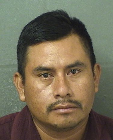 FREDI PEREZGOMEZ Results from Palm Beach County Florida for FREDI PEREZGOMEZ FREDI PEREZGOMEZ Results from Palm Beach County Florida for FREDI PEREZGOMEZ