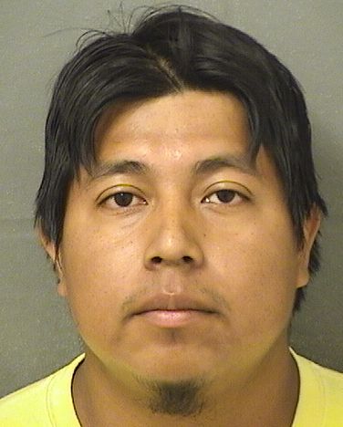  JESUS ABRAHAM MENDEZ Results from Palm Beach County Florida for  JESUS ABRAHAM MENDEZ