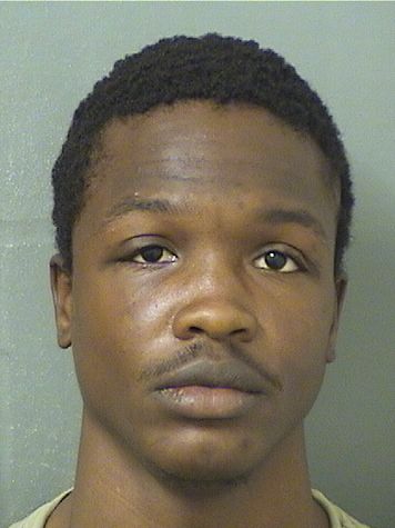  WALKENZ LOUIS Results from Palm Beach County Florida for  WALKENZ LOUIS