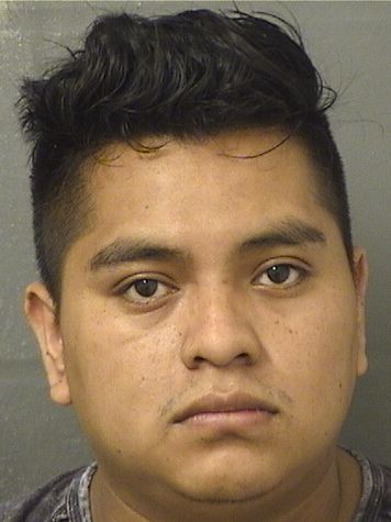 WILLIAN EDILZAR MARTINCHAVEZ Results from Palm Beach County Florida for WILLIAN EDILZAR MARTINCHAVEZ WILLIAN EDILZAR MARTINCHAVEZ Results from Palm Beach County Florida for WILLIAN EDILZAR MARTINCHAVEZ