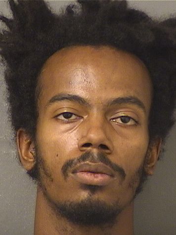  ANDREW MALIK LEESMITH Results from Palm Beach County Florida for  ANDREW MALIK LEESMITH