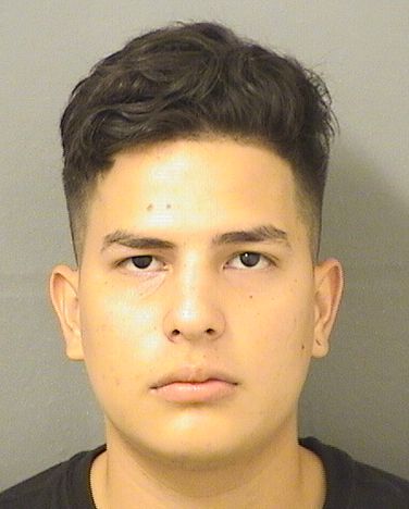  DIEGO FERNANDO MARTINEZCORAL Results from Palm Beach County Florida for  DIEGO FERNANDO MARTINEZCORAL