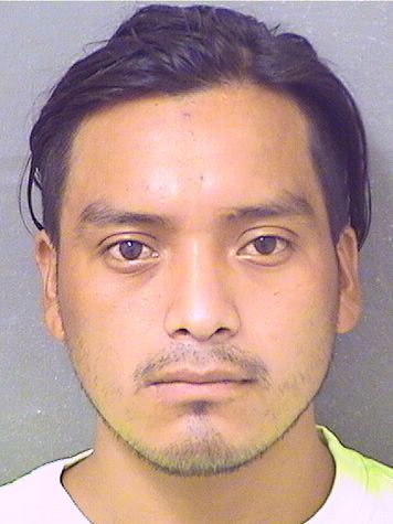  RONY VASQUEZPABLO Results from Palm Beach County Florida for  RONY VASQUEZPABLO