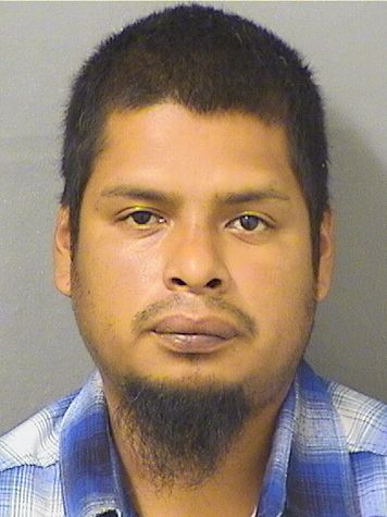  ERICK CALVILLO Results from Palm Beach County Florida for  ERICK CALVILLO