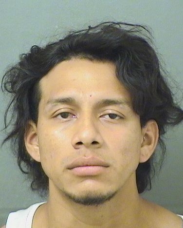  JOSE PALERMO VILLARTARAMOS Resultados de la busqueda para Palm Beach County Florida para  JOSE PALERMO VILLARTARAMOS