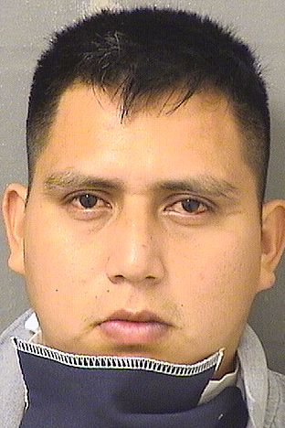  TOMAS REYES CAMPOSECOPEREZ Resultados de la busqueda para Palm Beach County Florida para  TOMAS REYES CAMPOSECOPEREZ