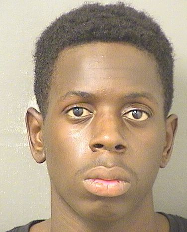  JOHNNY LEE FORD Results from Palm Beach County Florida for  JOHNNY LEE FORD