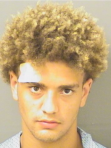  ELIJAH MARLEY CULLUM Results from Palm Beach County Florida for  ELIJAH MARLEY CULLUM