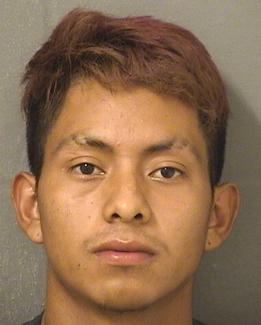 EDUARDO ALFONSO COBONMORALES Results from Palm Beach County Florida for EDUARDO ALFONSO COBONMORALES EDUARDO ALFONSO COBONMORALES Results from Palm Beach County Florida for EDUARDO ALFONSO COBONMORALES