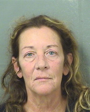  CAROL ANNE MITCHELL Results from Palm Beach County Florida for  CAROL ANNE MITCHELL