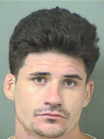  SCOTT ROBERT NICHOLS Results from Palm Beach County Florida for  SCOTT ROBERT NICHOLS