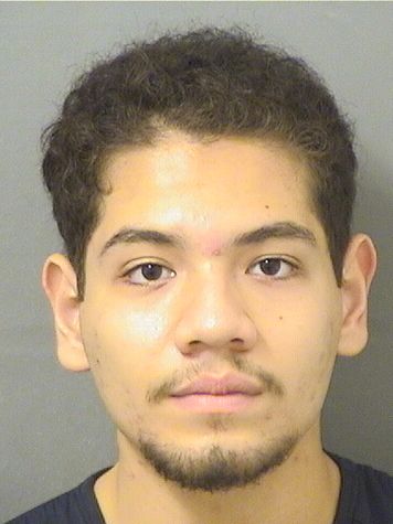  JONATHAN TEXTA Results from Palm Beach County Florida for  JONATHAN TEXTA