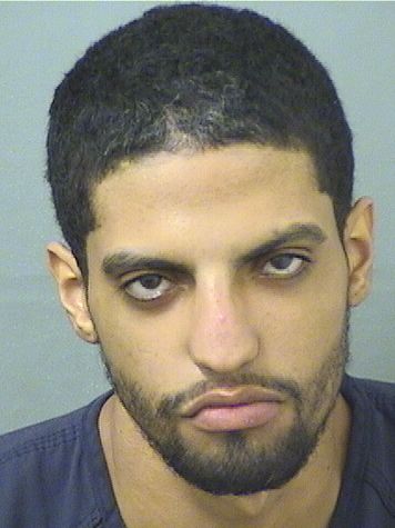  YASSER MENDOZA Results from Palm Beach County Florida for  YASSER MENDOZA