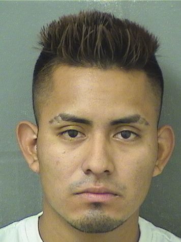  DOMINGO CHOZTZAJ Resultados de la busqueda para Palm Beach County Florida para  DOMINGO CHOZTZAJ