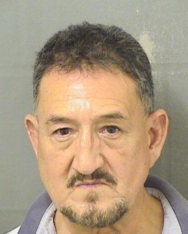 AARON GONZALO ORRUEL Results from Palm Beach County Florida for AARON GONZALO ORRUEL AARON GONZALO ORRUEL Results from Palm Beach County Florida for AARON GONZALO ORRUEL