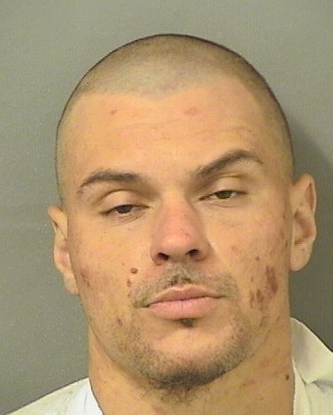  RYAN ROMASCO Resultados de la busqueda para Palm Beach County Florida para  RYAN ROMASCO